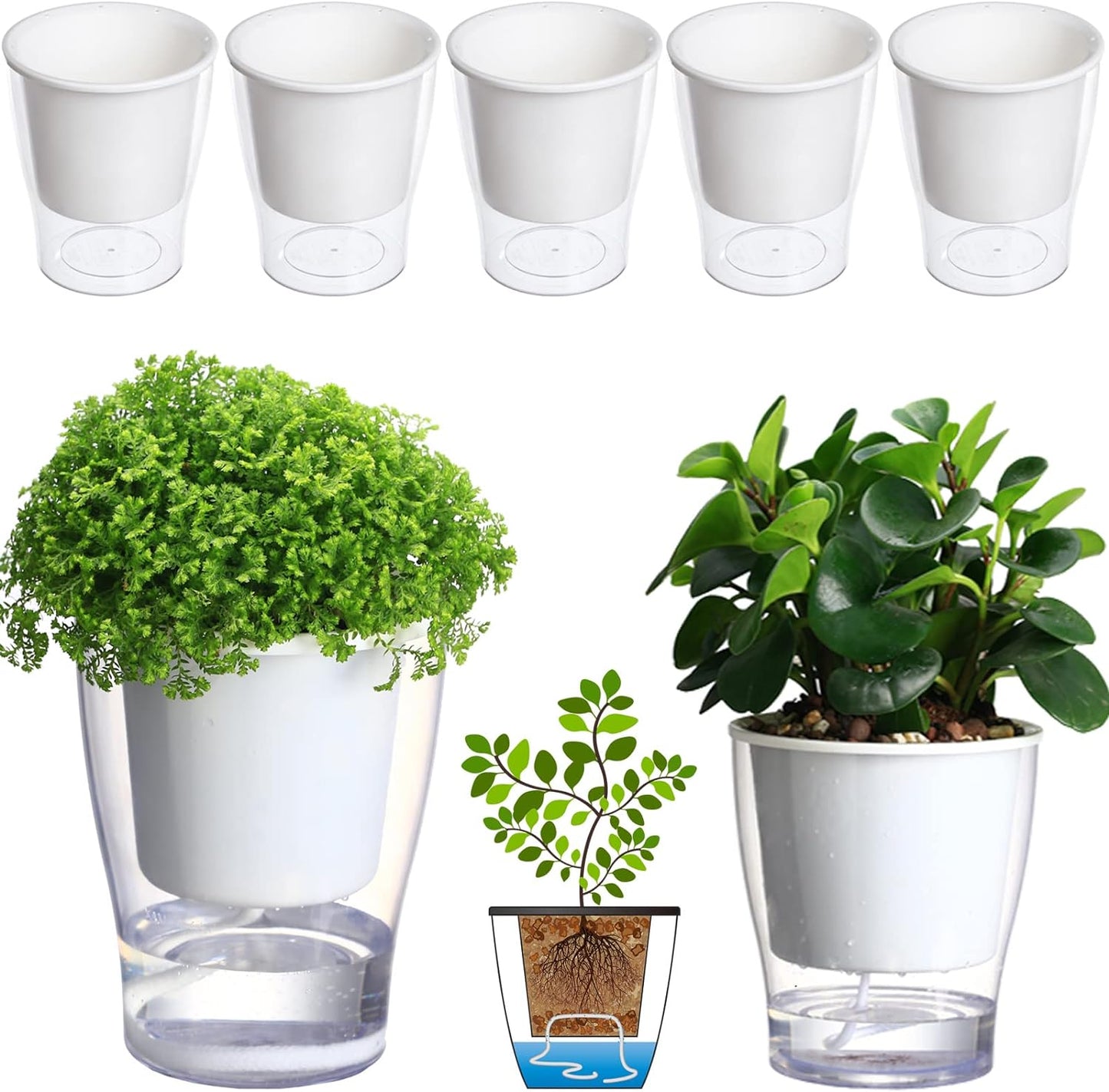 5-Pack 4.3 Inches Clear Self-Watering Pots Small African Violet Planters Plastic Plant Pots Wicking Flower Pots for Indoor Plants, Herbs, African Violet, Ocean Spider Plant, Orchid Pot, Garden Pots