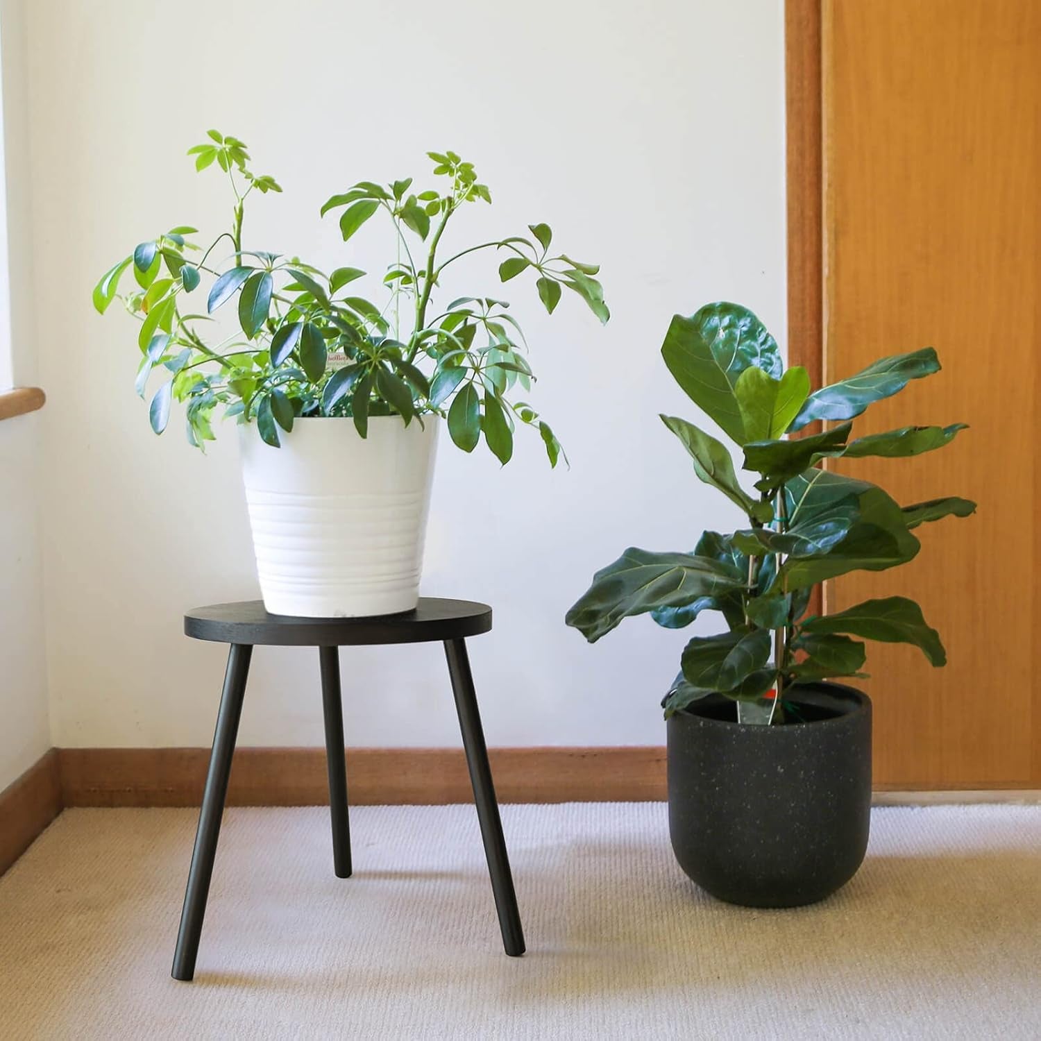 Indoor Plant Stand, Mid Century Wood Plant Stand Tall Plant Table for Flower Pots, Small round Side Table, End Table, Modern Home Décor - Black (Planter Not Included)