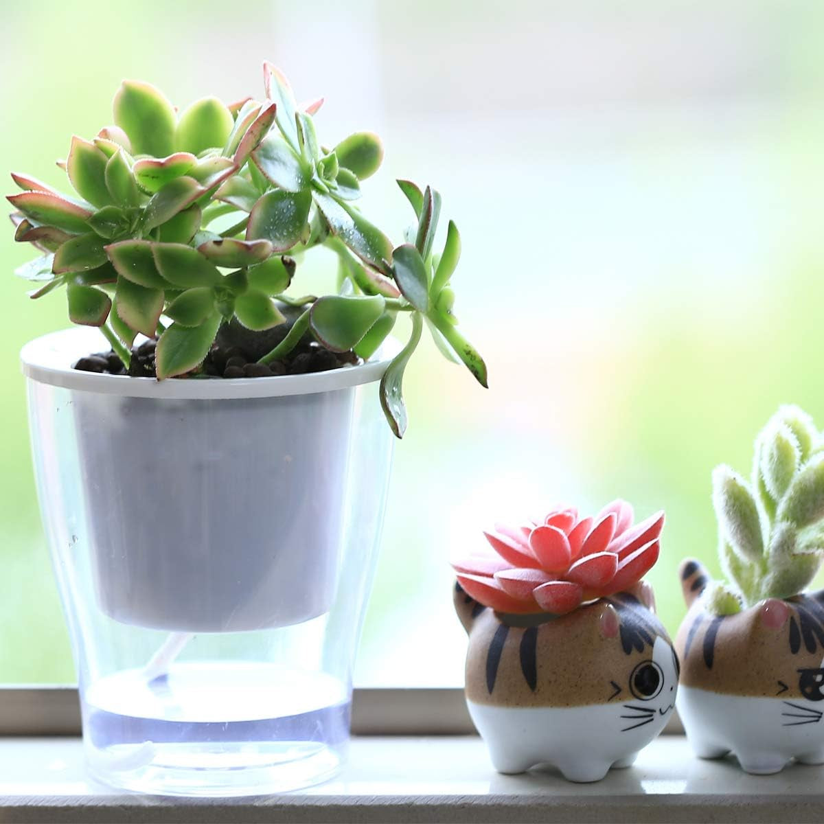 5-Pack 4.3 Inches Clear Self-Watering Pots Small African Violet Planters Plastic Plant Pots Wicking Flower Pots for Indoor Plants, Herbs, African Violet, Ocean Spider Plant, Orchid Pot, Garden Pots