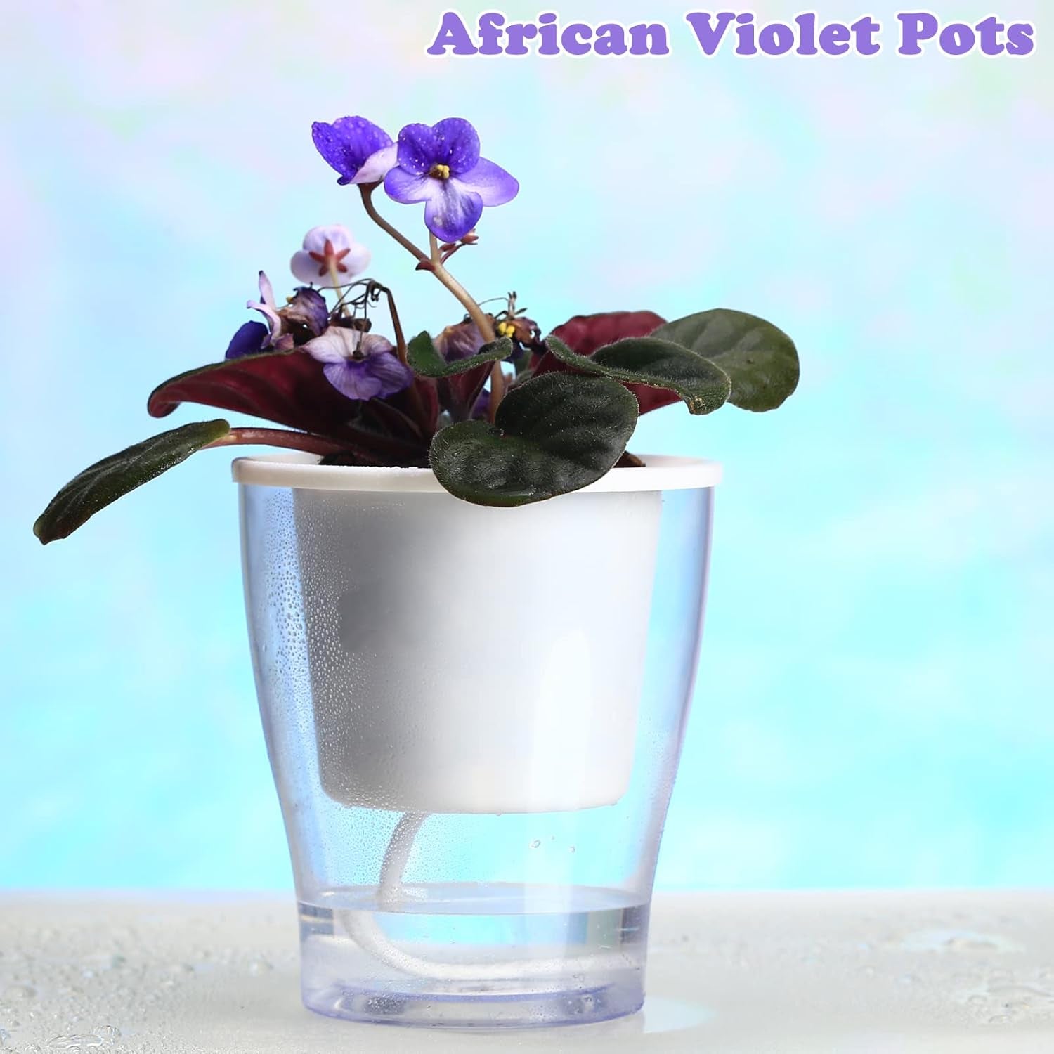 5-Pack 4.3 Inches Clear Self-Watering Pots Small African Violet Planters Plastic Plant Pots Wicking Flower Pots for Indoor Plants, Herbs, African Violet, Ocean Spider Plant, Orchid Pot, Garden Pots